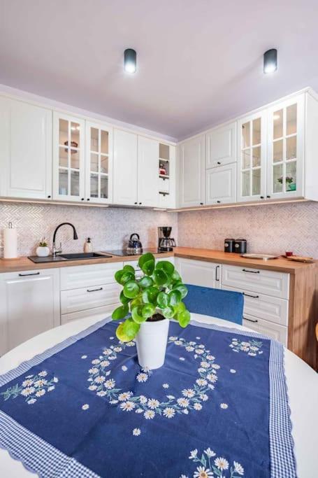 Blue Sun Apartament Sloneczny Kołobrzeg Zewnętrze zdjęcie